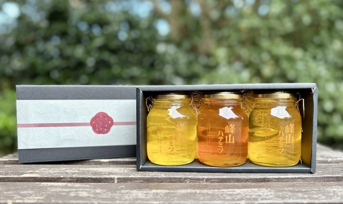 画像1: 峰山ハチミツ 贈答用(大びん3本) (1)